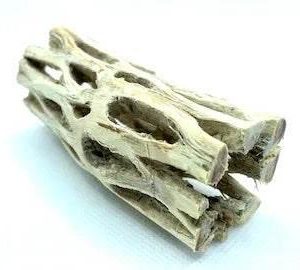 3” CHOLLA LOG | Aquarium Decor | Playground For Your Shrimp | Hardscape