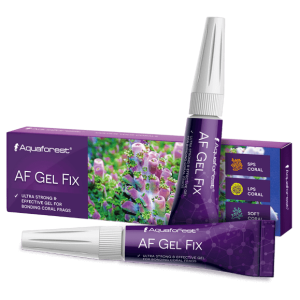 AF Gel Fix