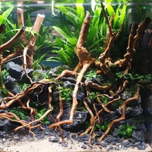 Natural Driftwood Root Trunk: Aquarium Plant Decoration