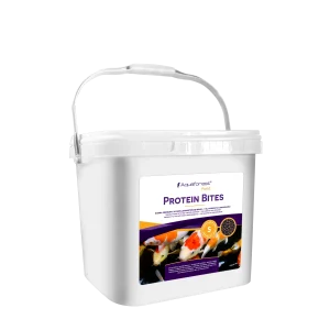 Protein Bites S
