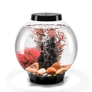 4-Gallon Black Aquarium Set with Red Stone Décor & LED Light (Complete Starter Kit)