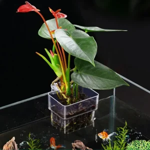Aquarium Fish Tank Plant Holder with Hooks