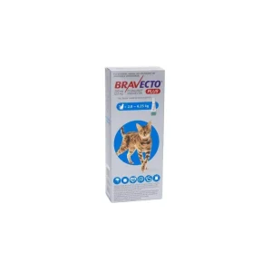 Bravecto PLUS Medium Cat 250mg 2.8kg to 6.25kg Blue
