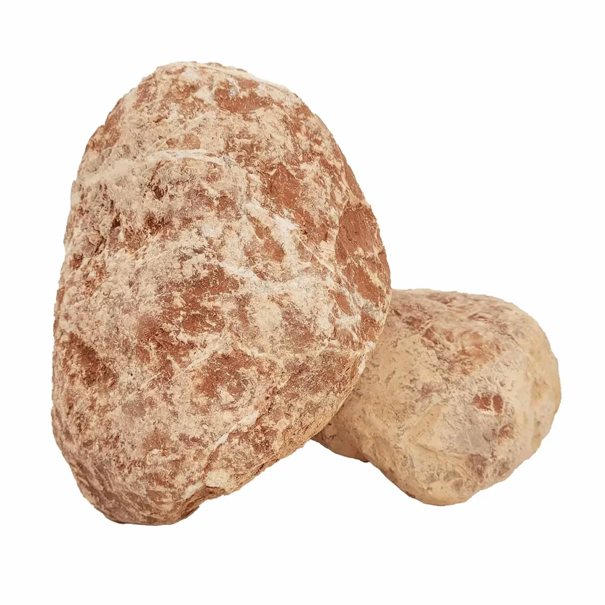 WIO Inferno Boulder Stone Nano Box 5kg - Bild 3