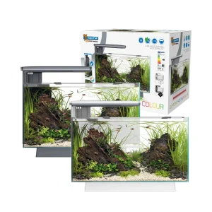 Superfish Quadro 40 Multi-Colour LED
